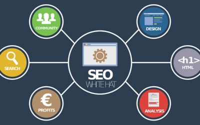 Why SEO Is Important In Business?
