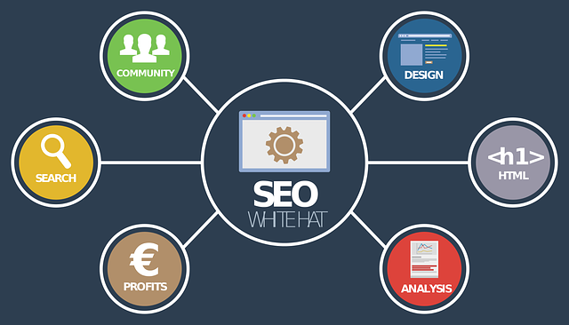 Why SEO Is Important In Business?